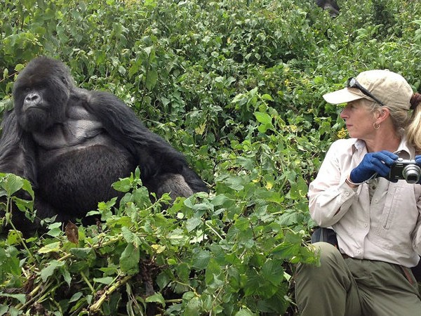 10 DAYS RWANDA EXPLORATION – WILDLIFE, GORILLAS, CHIMPS & GOLDEN MONKEYS