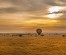 6day Tanzania Luxury Safari