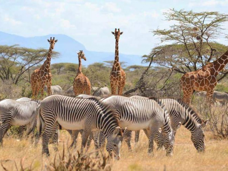 8 Days Lake Turkana Camping Safari Tours