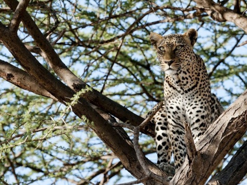 10 Days Lake Turkana Camping Safari Tours