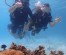 Scuba diving for absolute beginners in Samui