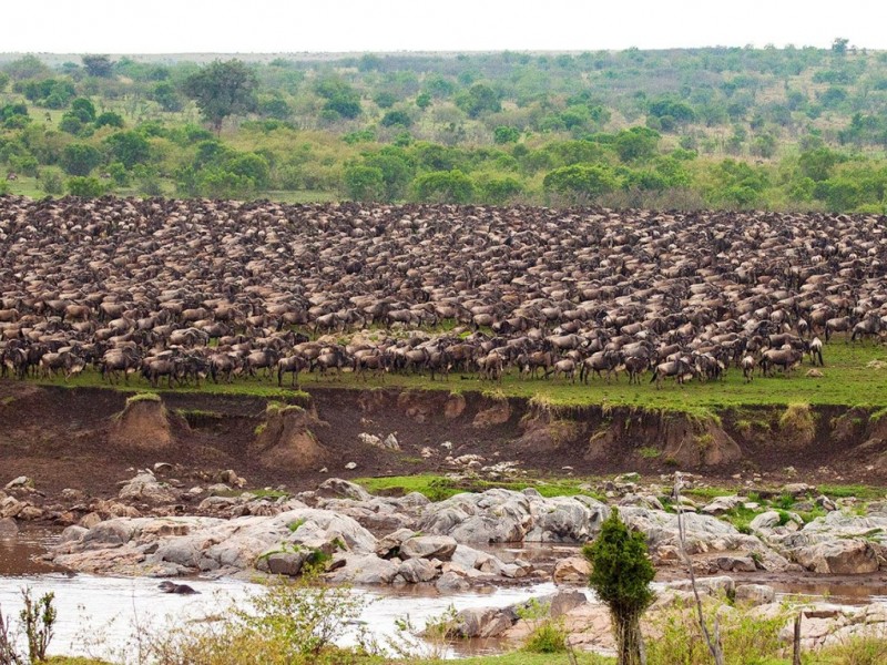 7 days/6 Nights Serengeti Migration Safari