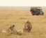 6 Day Budget Tanzania Safari Tour Packages: Lake Manyara National Park, Serengeti  National Park, Tarangire National Park, Ngorongoro crater, and Arusha National park.