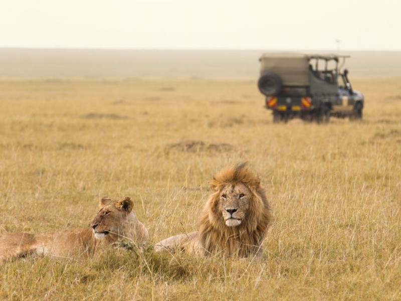 6 Day Budget Tanzania Safari Tour Packages: Lake Manyara National Park, Serengeti  National Park, Tarangire National Park, Ngorongoro crater, and Arusha National park.