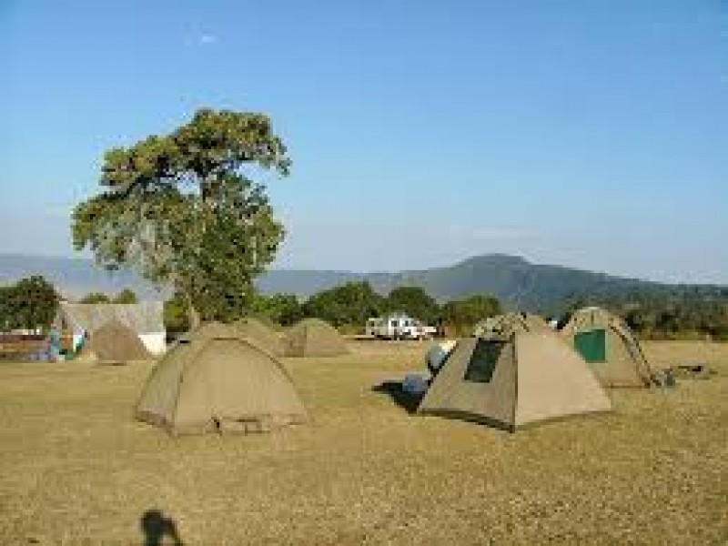 Tanzania Budget Camping Safari to the Serengeti