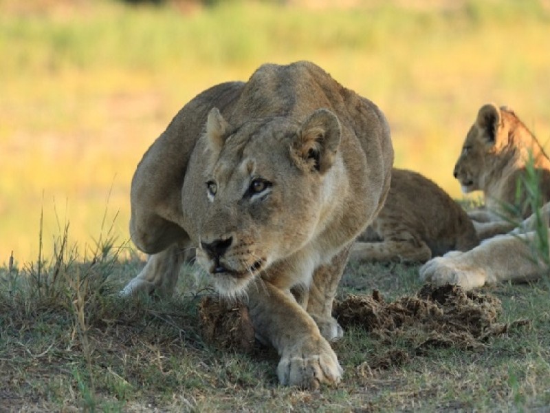 8 Days Lake Turkana Camping Safari Tours