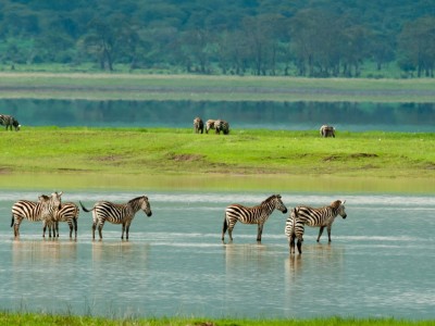 8 DAYS TANZANIA CLASSIC SAFARI