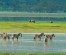 8 DAYS TANZANIA CLASSIC SAFARI