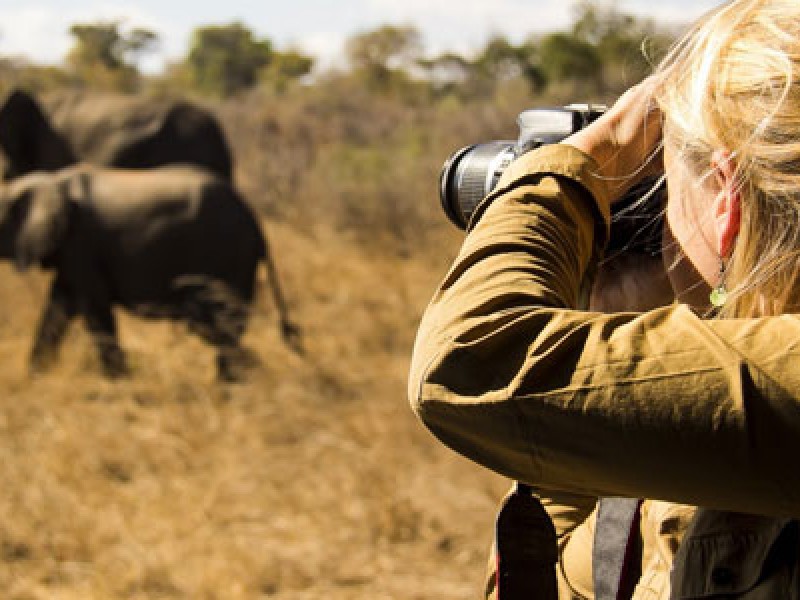 10 Days Northern Tanzania Safari