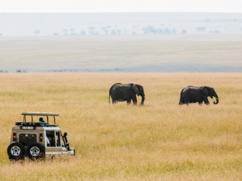 6day Tanzania Luxury Safari