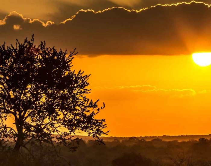 Safaris in Tanzania