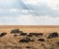 6day Tanzania Luxury Safari