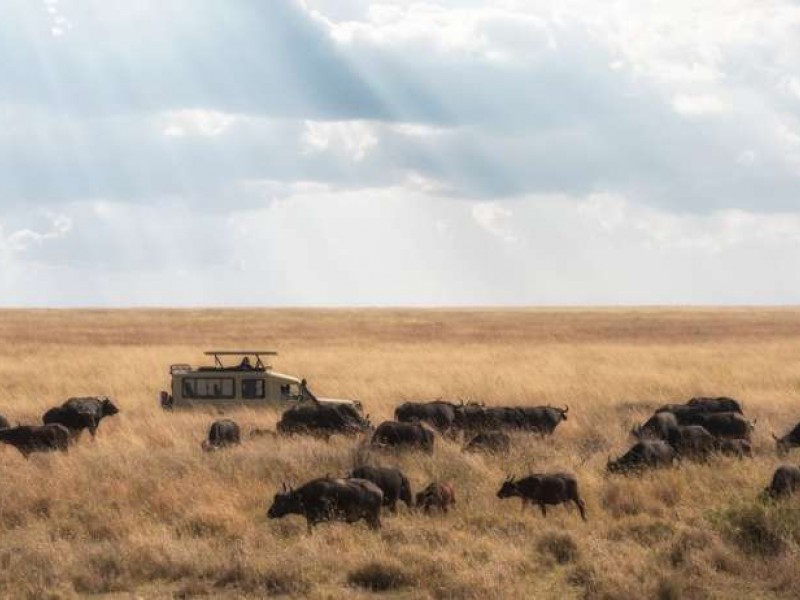 6day Tanzania Luxury Safari