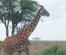 5 Days Private Group Safaris in Tanzania