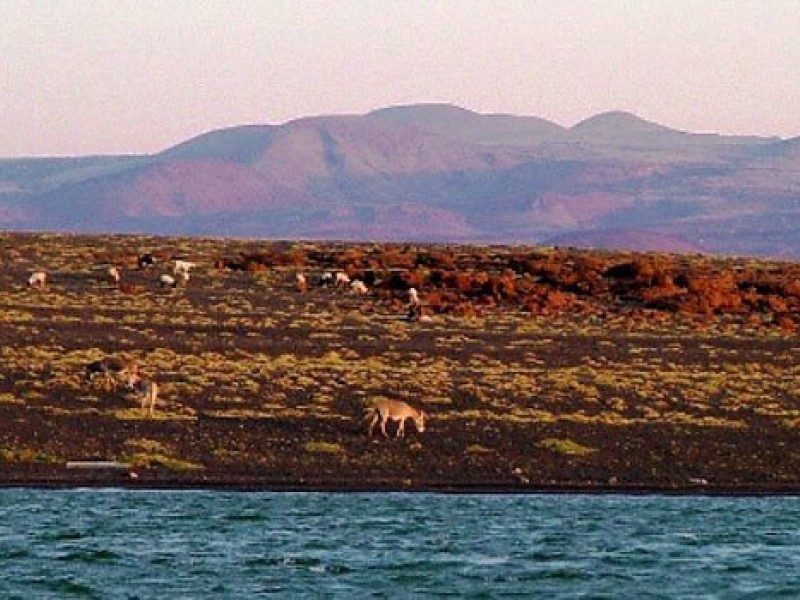 10 Days Lake Turkana Camping Safari Tours