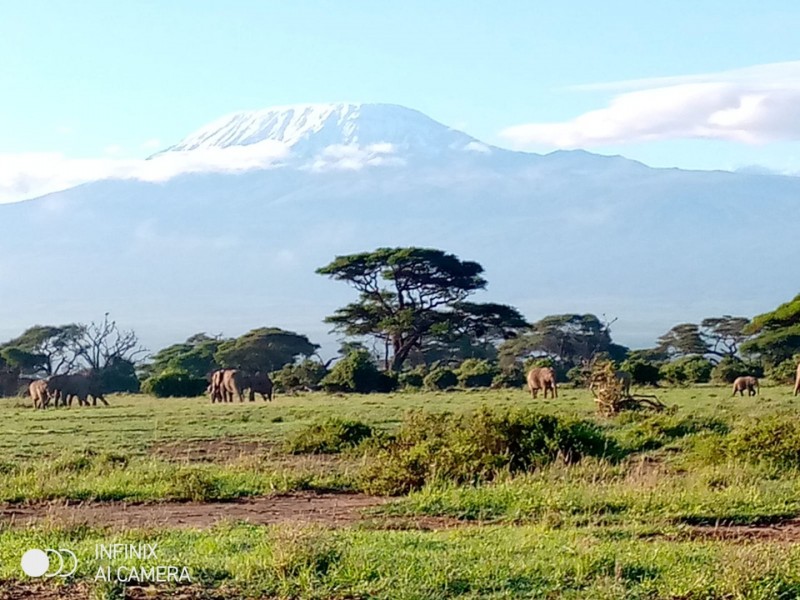 7 DAYS MAASAI MARA -LAKE NAKURU -LAKE NAIVASHA- AMBOSELI SAFARI