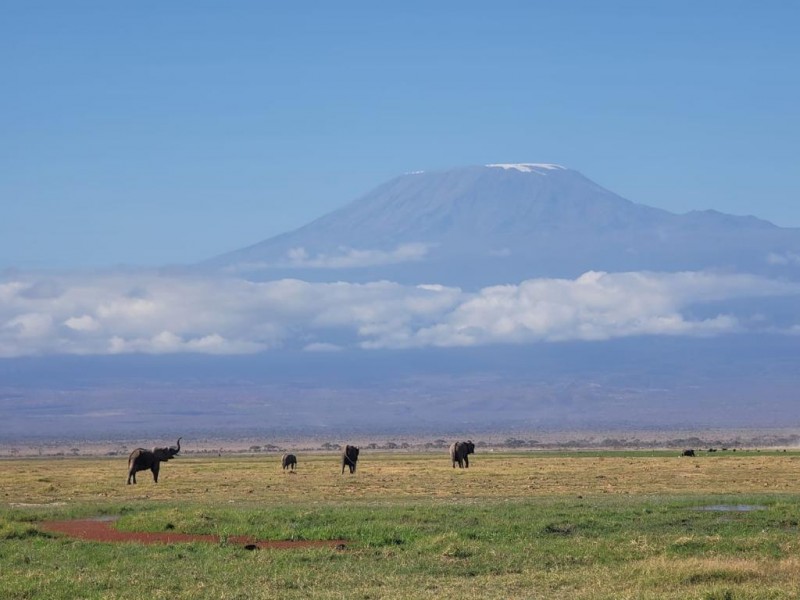 Peak of Serenity: A 3-Day Amboseli Safari Adventure
