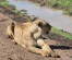 Masai Mara Magic: A 4-Day Unique Cultural Experience