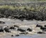 WILDERBEEST MIGRATION SAFARI ON PRIVATE BOOK WITH US