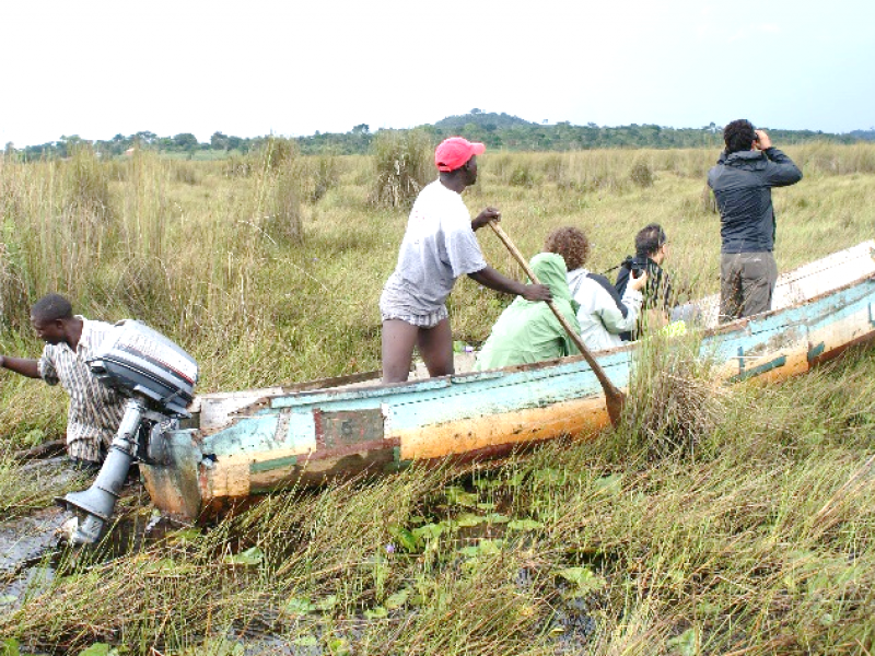 Mabamba shoebill excursion