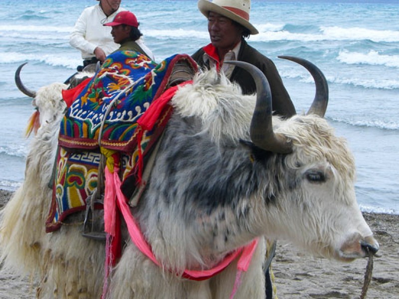 Everest Base Camp Trek