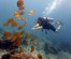 Scuba diving for absolute beginners in Samui