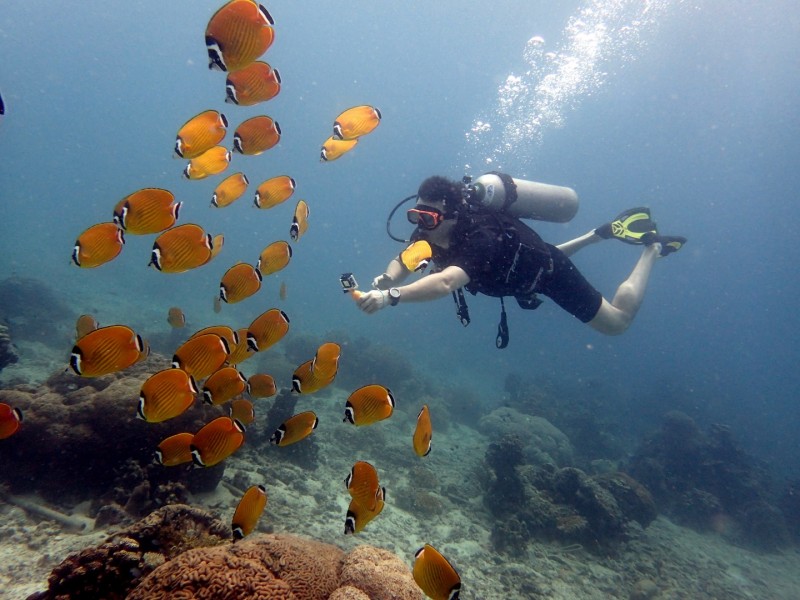 Scuba diving for absolute beginners in Samui