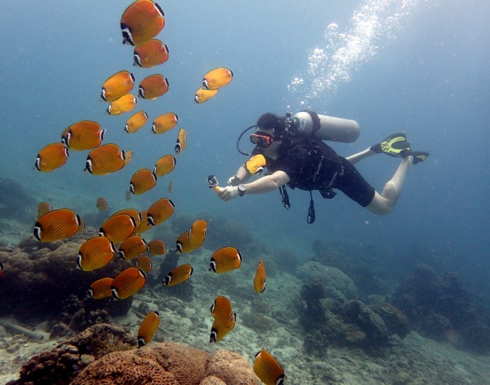 Scuba diving for absolute beginners in Samui