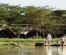 8 Days Kenya Family Safari Holiday