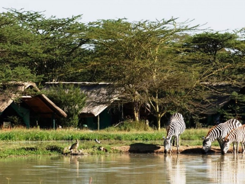 8 Days Kenya Family Safari Holiday